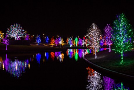Tree lights at Vitruvian Park in Addison