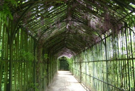 I also love the natural elegance found at Marie Antoinette’s estate, the Petit Trianon. One of my favorite photos from this estate is this photo of the wisteria-draped arcade. Absolutely stunning!