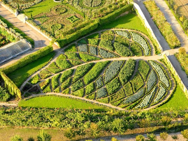 Leaf-shaped vegetable and fruit garden