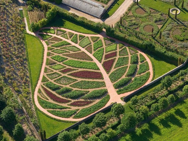 Leaf-shaped vegetable and fruit garden