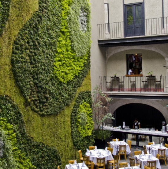 Sculptural Green Wall