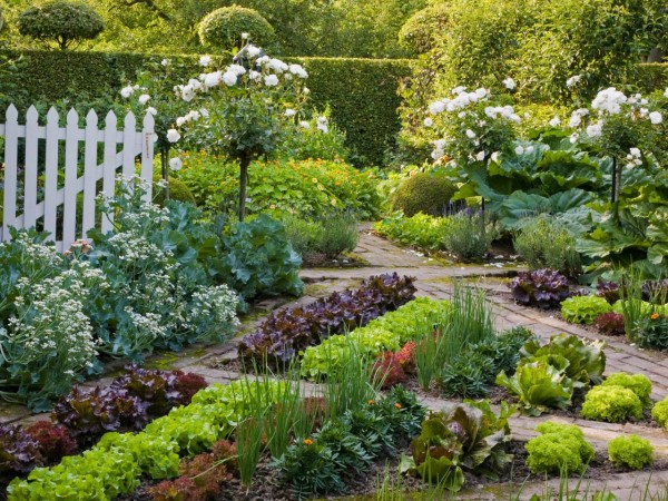 Beautiful Vegetable Gardens PLUS Design Tips and Ideas