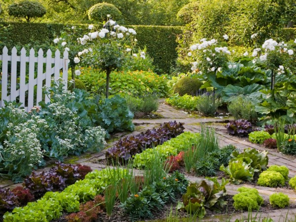 Flowers make great additions to vegetable gardens and can add some needed color and interest. Consider plants that may attract beneficial insects or may even be edible themselves. Chrysanthemums and Marigolds repel many insects that would otherwise feast on your edible plants. Ornamental peppers provide a bright pop of color and can spice up your dinners or find some edible flowers so you can have a cheery garden and then add them to you salads for a special touch.