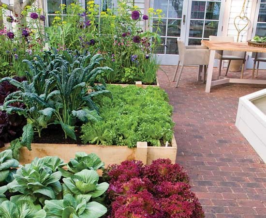 Plant complementary fruits and vegetables next to each other