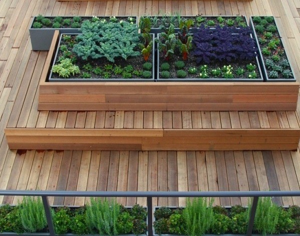 Harvest rooftop garden in Vancouver