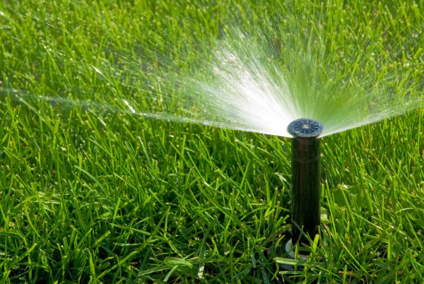 April Maintenance Tip - Keep watering as needed