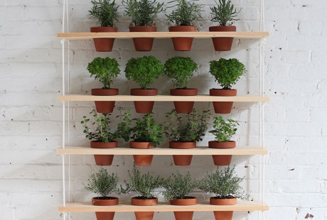 Modern hanging herb garden