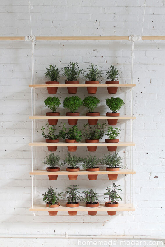 Modern hanging herb garden