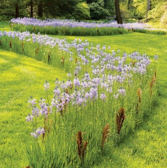 outdoor sculpture - flowering path