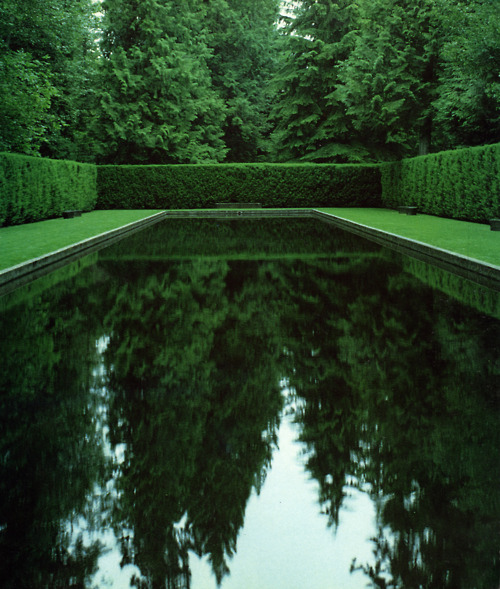 Modern contemporary hedge around reflecting pond