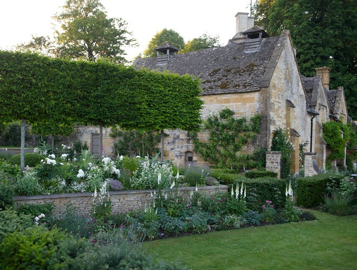 Pleached Trees - Traditional Landscape - Hornbeam - Jinny Blom