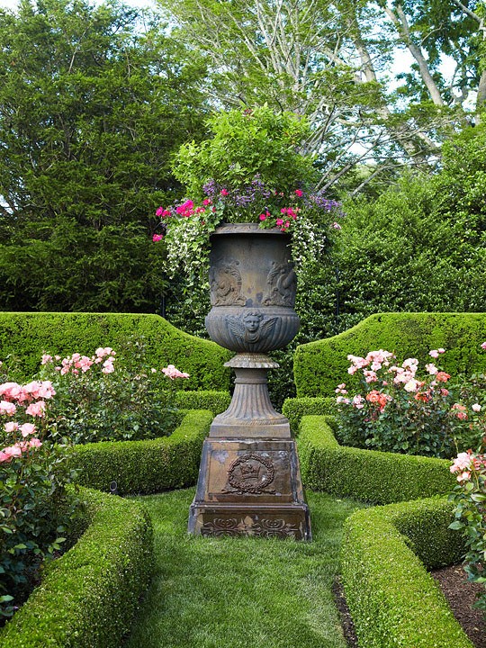 Traditional hedge in English Garden