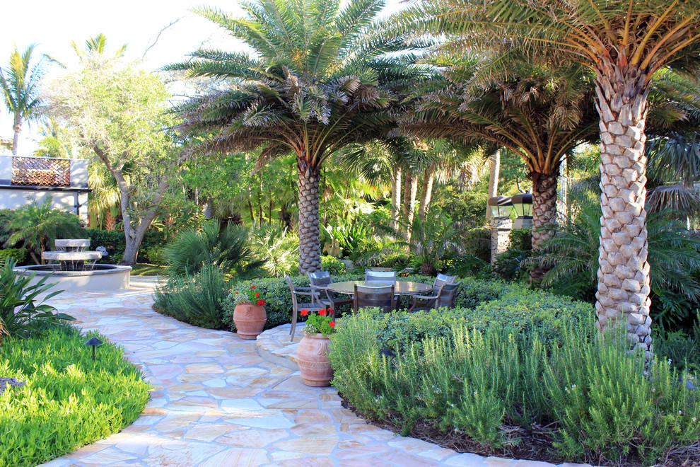 Palm Trees in traditional landscape