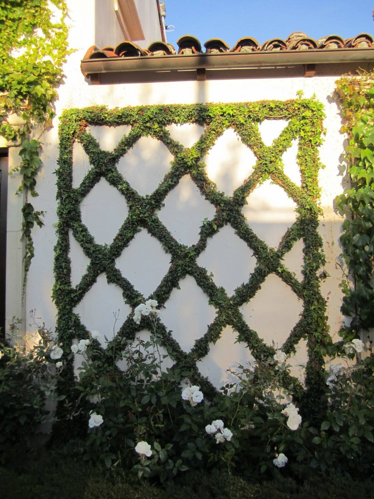 Diamond Wire Espalier