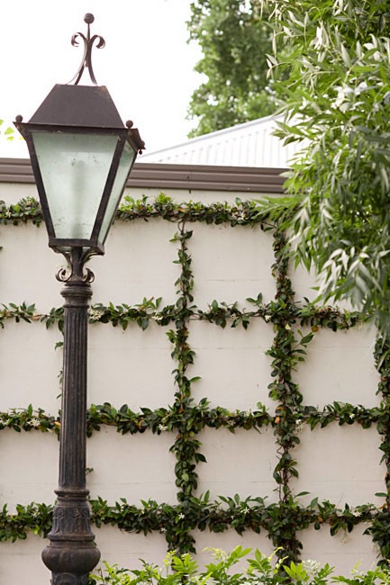 Square Fence Espalier