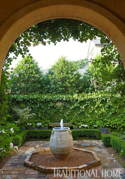 Espalier with Fix Ivy behind