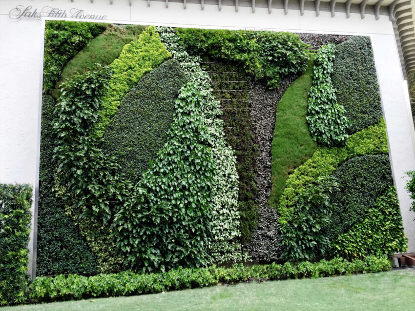 Green Wall - Saks Fifth Ave - Worth Ave - High end Retail Landscape Design