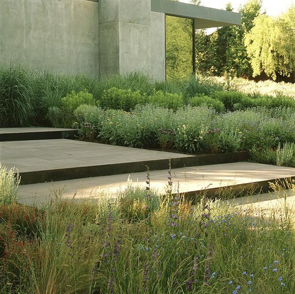 Sustainable / Naturalistic Garden Lutsko Associates