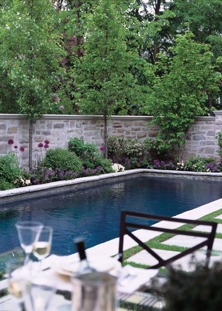 Landscape Solutions: Create Privacy and Screening with Trees, Hedges, Fences, and Walls