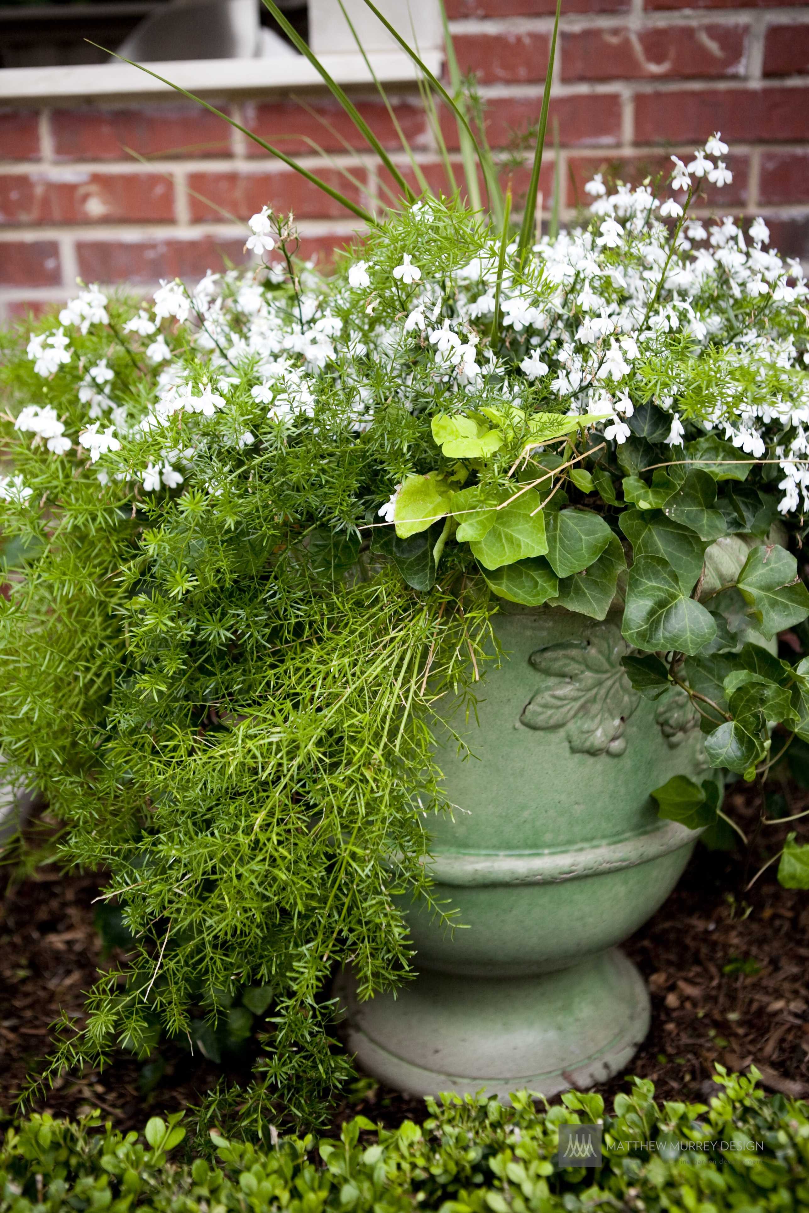Green and White seasonal flower pottery arrangement