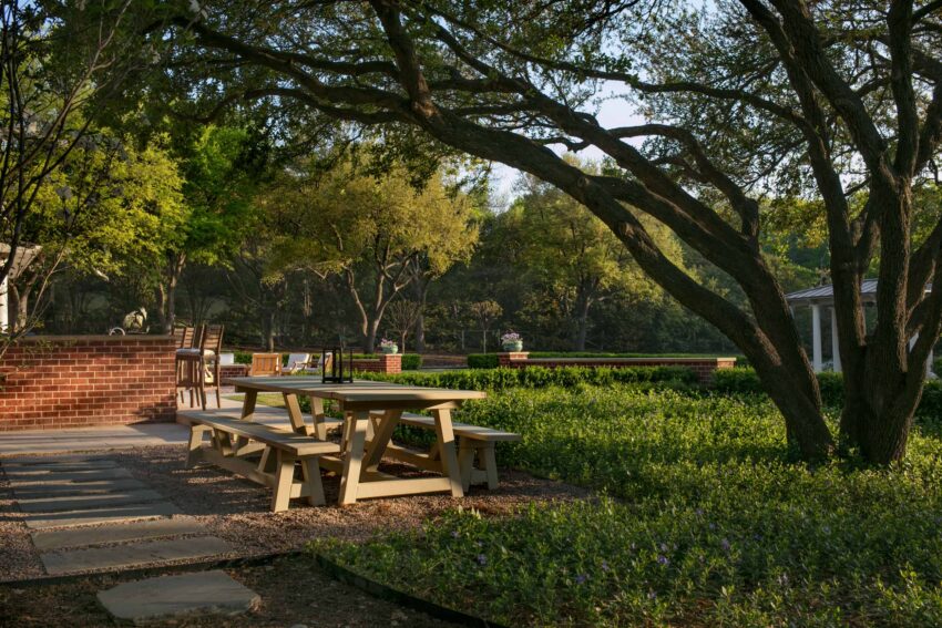 The outdoor dining space is shaded by a mature live-oak (Quercus virginiana). The teak table sits in a bed of gravel surrounding by periwinkle vines (vinca minor).